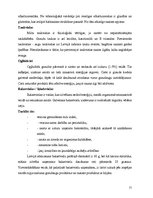 Referāts 'Tirgus izpēte “Hanzas maiznīcas” maizei', 15.