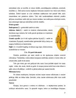 Referāts 'Tirgus izpēte “Hanzas maiznīcas” maizei', 17.