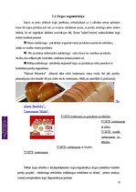 Referāts 'Tirgus izpēte “Hanzas maiznīcas” maizei', 25.