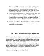 Referāts 'Riska analīze un preču kontroles organizēšana', 13.