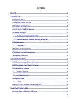 Referāts 'Projektori', 3.