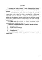 Referāts 'Projektori', 5.