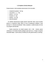 Referāts 'Projektori', 8.