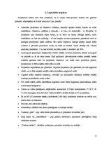 Referāts 'Projektori', 13.