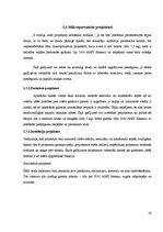 Referāts 'Projektori', 19.