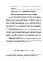 Referāts 'Tūrisma nozares attīstība Latvijā', 7.