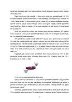 Referāts 'Tūrisma nozares attīstība Latvijā', 13.