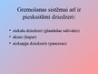 Prezentācija 'Gremošanas orgānu sistēma un tās slimības', 5.