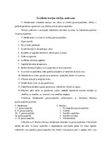 Referāts 'Virdžīnijas Hendersones māszinību teorijas analīze', 4.