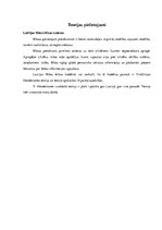 Referāts 'Virdžīnijas Hendersones māszinību teorijas analīze', 8.