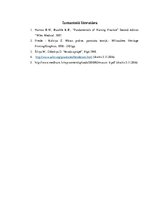 Referāts 'Virdžīnijas Hendersones māszinību teorijas analīze', 10.