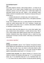 Biznesa plāns 'SIA "Pus12"', 3.