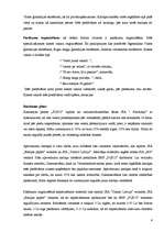 Biznesa plāns 'SIA "Pus12"', 4.