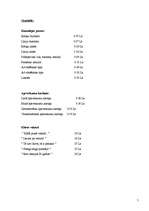 Biznesa plāns 'SIA "Pus12"', 5.