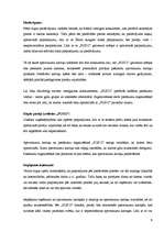 Biznesa plāns 'SIA "Pus12"', 9.