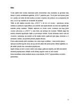 Biznesa plāns 'SIA "Pus12"', 13.