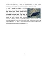 Referāts 'Invazīvās sugas Latvijā un pasaulē', 10.