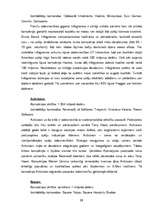 Referāts 'Datorspēles', 12.