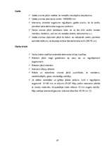 Referāts 'Datorspēles', 17.