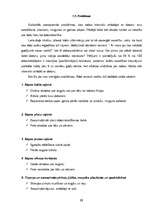 Referāts 'Datorspēles', 21.