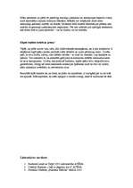 Referāts 'Budisms', 10.