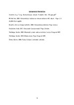 Referāts 'Radio Latvijā laika periodā no 1990.gada līdz 1999.gadam', 12.