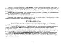 Referāts 'Siltuma dzinēji', 5.