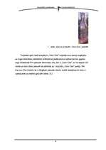 Referāts '"Coca-Cola" reklāmas ietekme uz jauniešu dzērienu izvēli', 9.