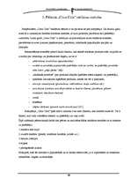 Referāts '"Coca-Cola" reklāmas ietekme uz jauniešu dzērienu izvēli', 12.