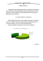 Referāts '"Coca-Cola" reklāmas ietekme uz jauniešu dzērienu izvēli', 22.