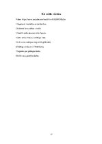 Prezentācija 'Latvijas un pasaules vitrāžas', 17.