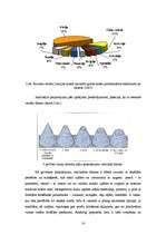 Referāts 'Lauku tūrisms Latvijā', 16.