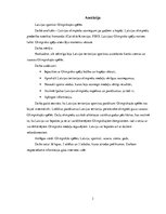 Konspekts 'Latvijas sportisti Olimpiskajās spēlēs', 3.