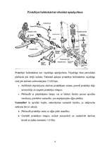 Konspekts 'Gaitas iekārtas ekspluatācija automašīnai "Opel Vectra"', 4.