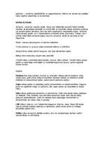 Referāts 'Krāsas', 11.