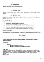 Referāts 'Psihiskie procesi', 2.