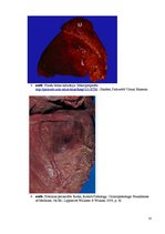 Referāts 'Kolokvija kļūdu labojums', 18.