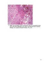 Referāts 'Kolokvija kļūdu labojums', 23.