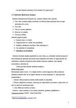 Referāts 'Interneta ētika un tās pārkāpumi', 7.