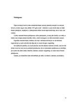 Referāts 'Interneta ētika un tās pārkāpumi', 18.