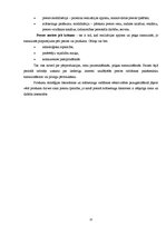 Referāts 'Produkta analīze mārketingā un ekonomikā', 11.