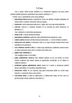 Referāts 'Produkta analīze mārketingā un ekonomikā', 18.