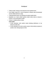 Referāts 'Produkta analīze mārketingā un ekonomikā', 22.