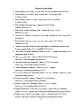 Referāts 'Produkta analīze mārketingā un ekonomikā', 23.