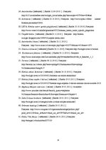 Referāts 'Produkta analīze mārketingā un ekonomikā', 24.