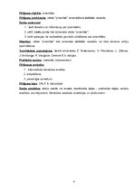 Referāts 'Piramīdas', 4.