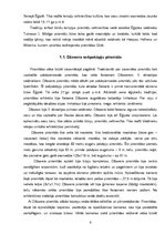 Referāts 'Piramīdas', 6.