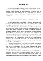 Referāts 'Piramīdas', 12.