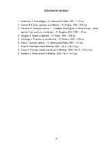 Referāts 'Piramīdas', 19.