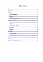 Referāts 'Wiki tehnoloģijas un to lietojumi', 3.